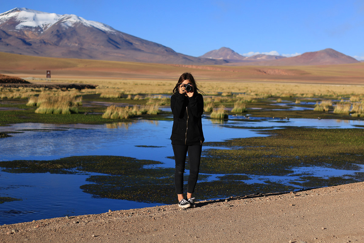 Sendero en el oasis